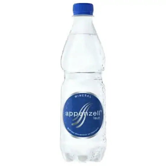 Wasser mit Kohlensäure 500 ML